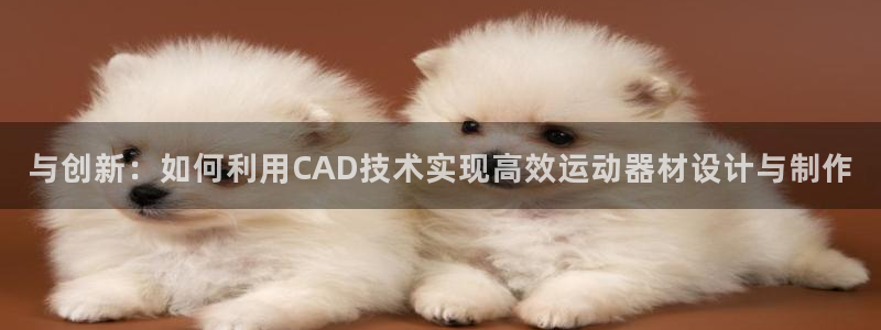 海南征途国际：与创新：如何利用CAD技术实现高效运动