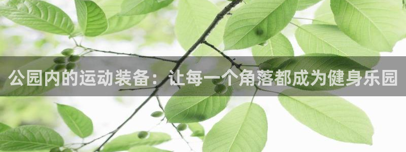 征途国际娱乐网站：公园内的运动装备：让每一个角落都成
