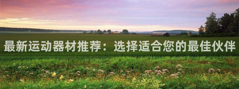 征途国际集团E.ON