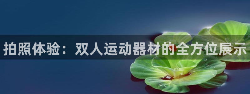 征途国际招商电话号码查询是多少：拍照体验：双人运动器