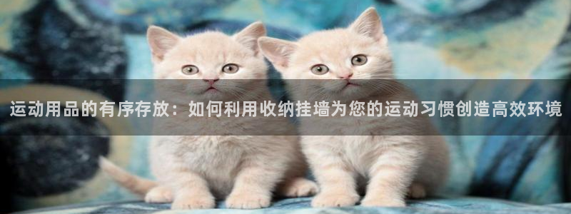 征途国际平台是正规平台吗：运动用品的有序存放：如何利用收纳挂