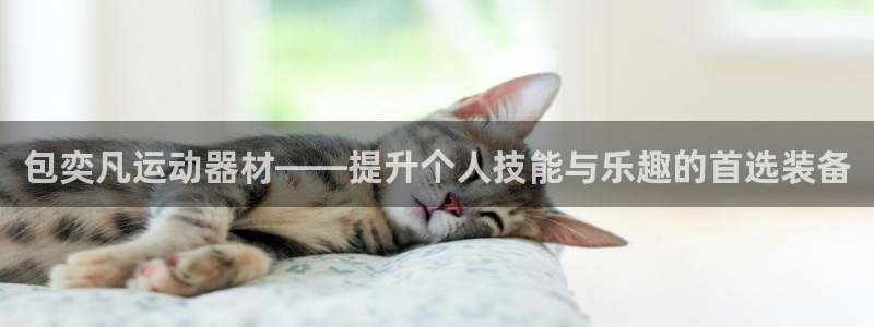 征途国际集团官网：包奕凡运动器材——提升个人技能与乐