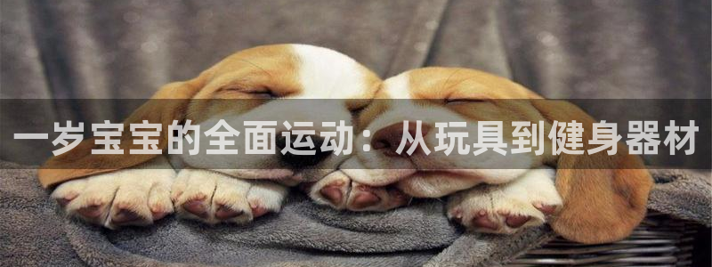 征途国际招商电话地址是多少：一岁宝宝的全面运动：从玩