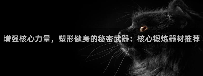 征途国际集团logo：增强核心力量，塑形健身的秘密武器：核心