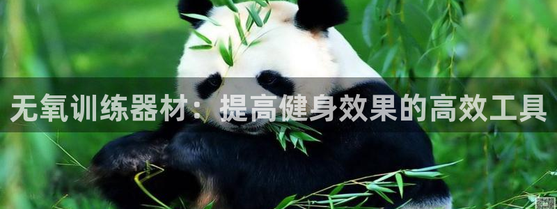 征途国际五金厂：无氧训练器材：提高健身效果的高效工具