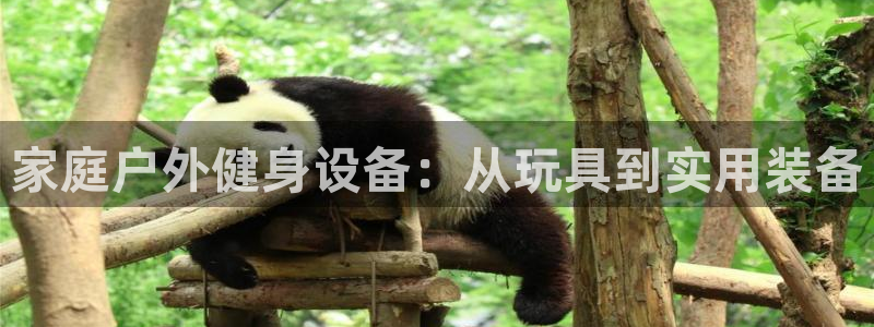 征途国际招商电话地址：家庭户外健身设备：从玩具到实用