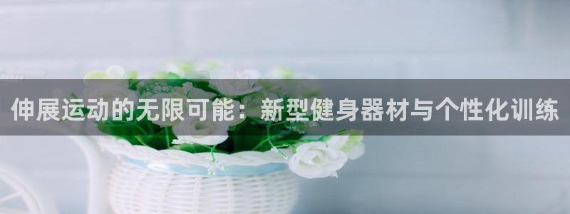 征途国际开户：伸展运动的无限可能：新型健身器材与个性