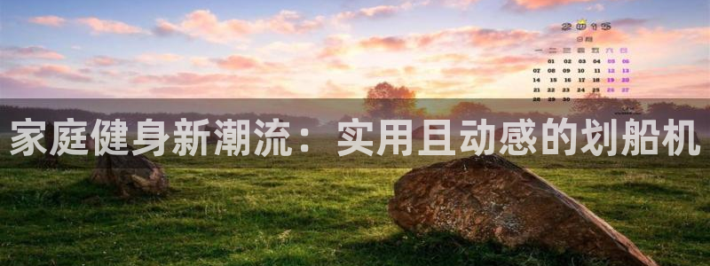 征途国际科技：家庭健身新潮流：实用且动感的划船机