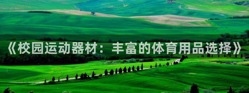 征途国际官网：《校园运动器材：丰富的体育用品选择》