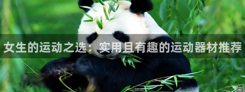 征途国际新能源：女生的运动之选：实用且有趣的运动器材推荐