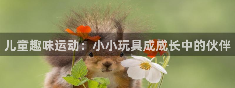 征途国际招商电话号码：儿童趣味运动：小小玩具成成长中的伙伴
