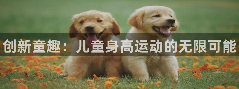 征途国际集团E.ON