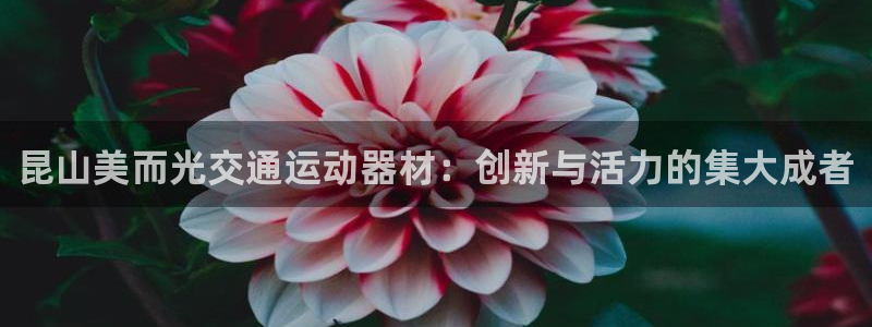 征途国际神州：昆山美而光交通运动器材：创新与活力的集大成者